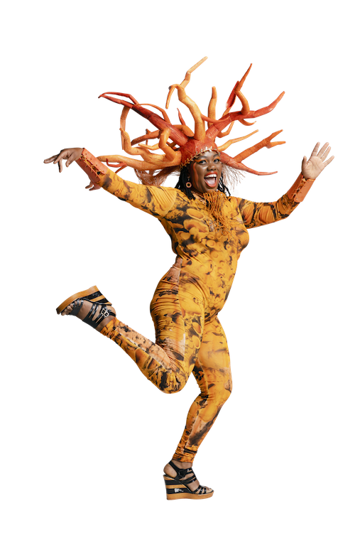 ORANGE_2