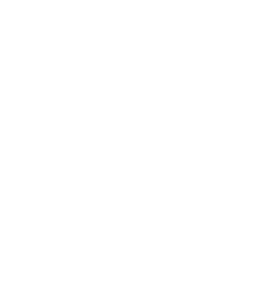 2025 Carnival - Cape Town Carnival